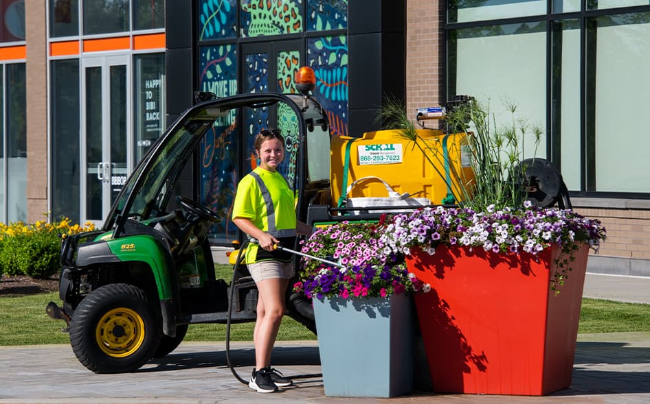 commercial landscape maintenance