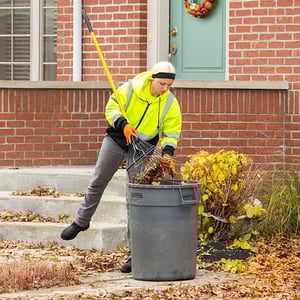 cleaning up leaves
