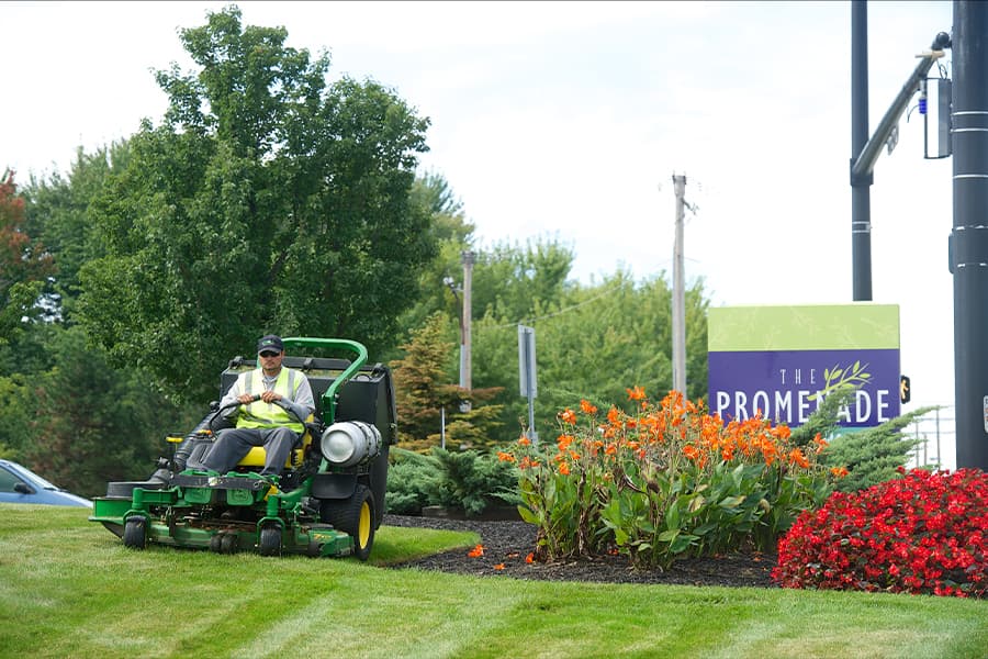 commercial landscaping
