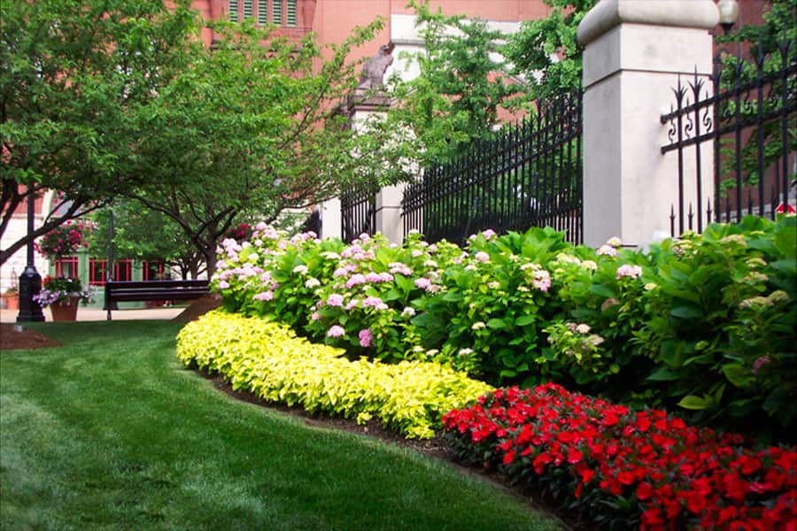 floral landscaping