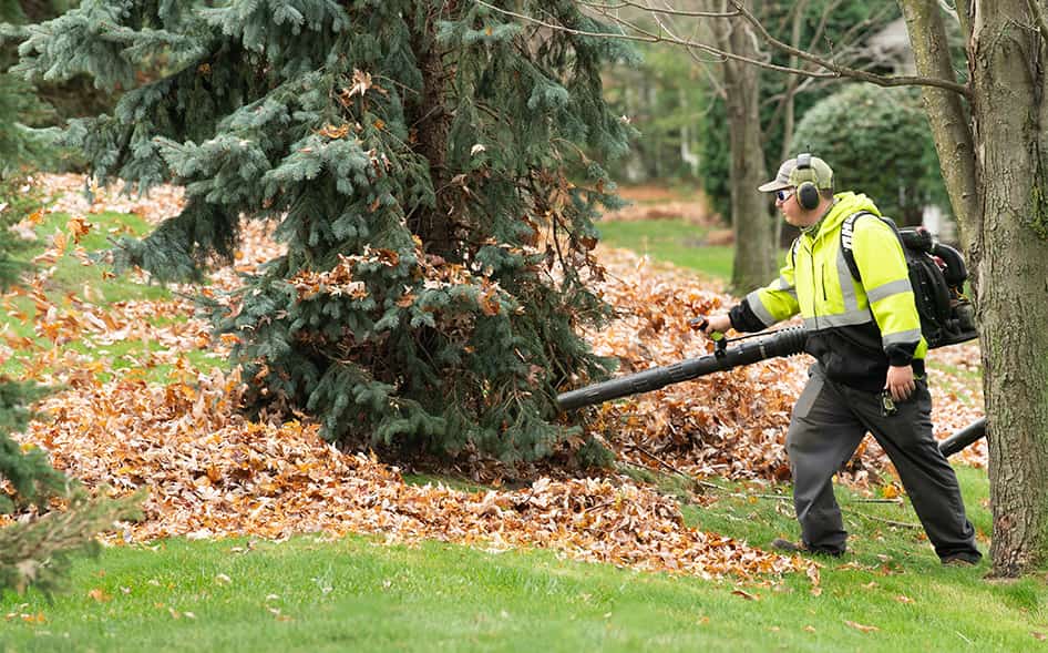 leaf blowing
